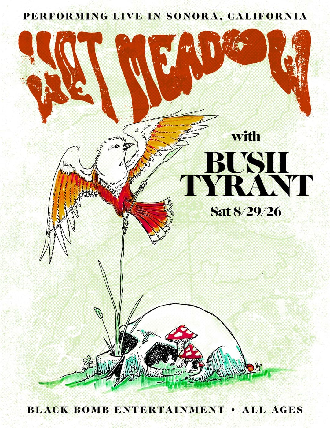 Wet Meadow with Bush Tyrant